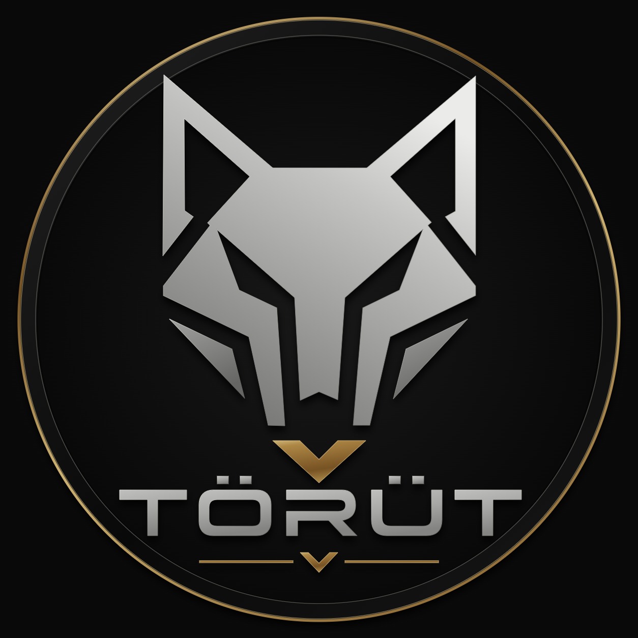 Törüt Logo